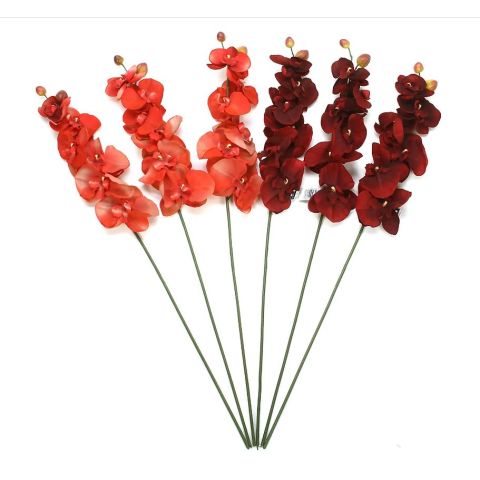 Hosley's Set of 6 Farmhouse Assorted 28" Long, Orchid Phalaenopsis - Salmon & Burgundy
