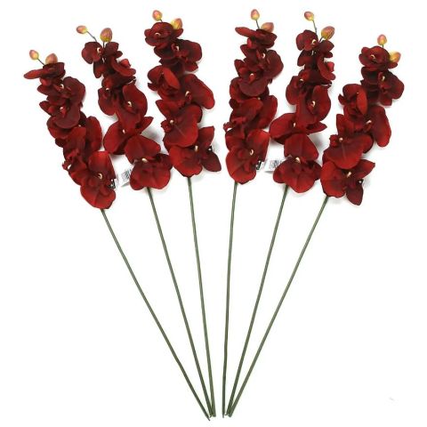 Hosley Set of 6, Farmhouse Orchid Phalaenopsis Artificial Flowers 28" Long - Burgundy
