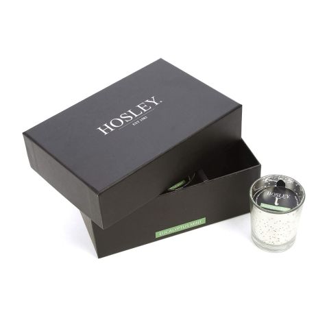 Hosley Set of 6, Eucalyptus Mint Votive Candles in Silver Metallic Glass Holders