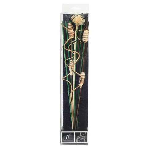 Hosley's Green/Black Botanical Diffuser Reeds - 12.5" High