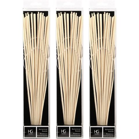 Hosley's Set of 3, Botanical Diffuser Reeds - 12.5" High
